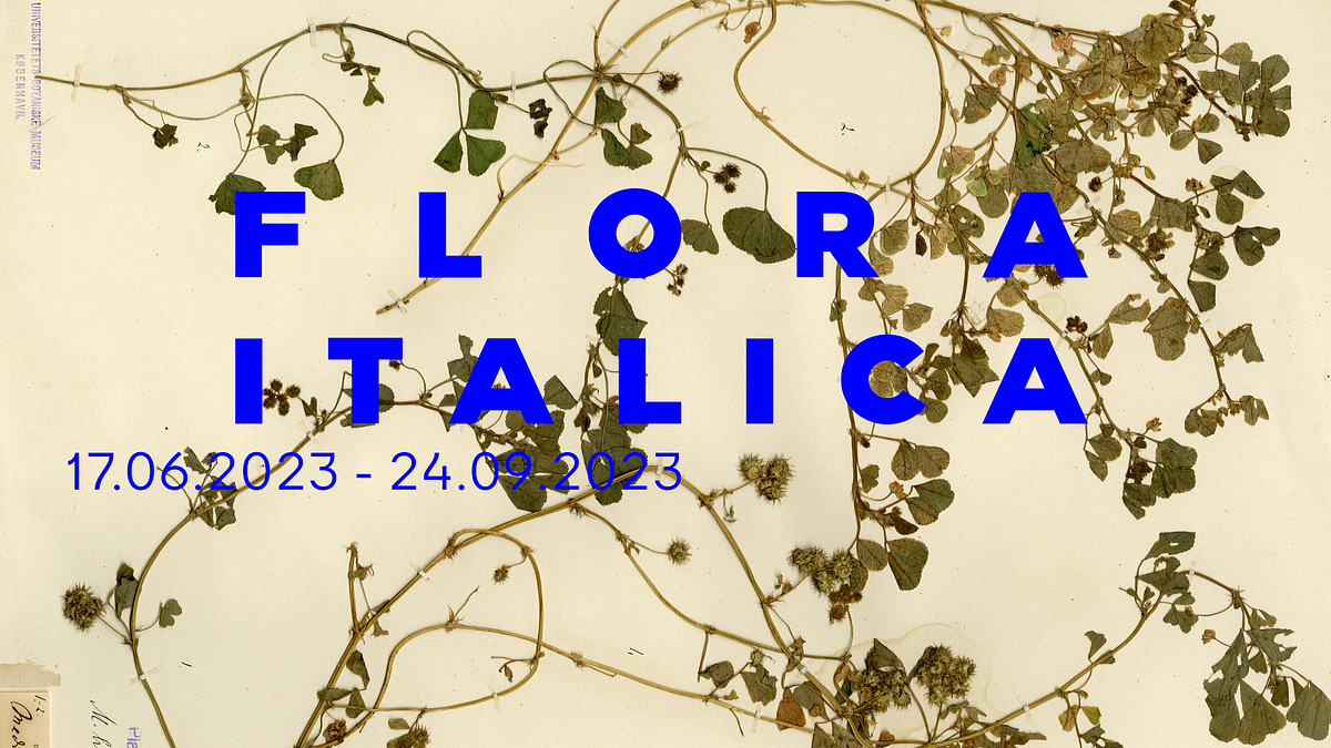 Banner til Flora Italica