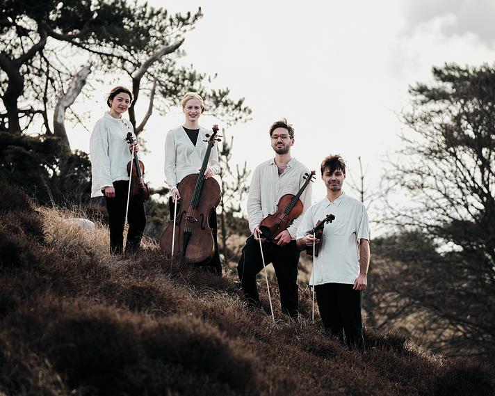 KONCERT: NOVO QUARTET