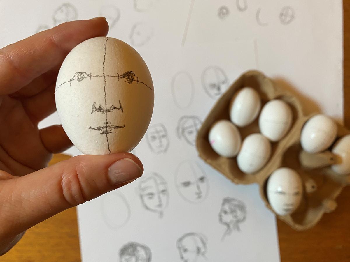 Proportionstegning på æg